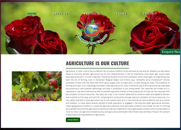 webdesign & developement